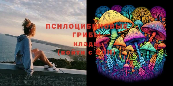 СК Баксан